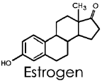 estrogen.gif